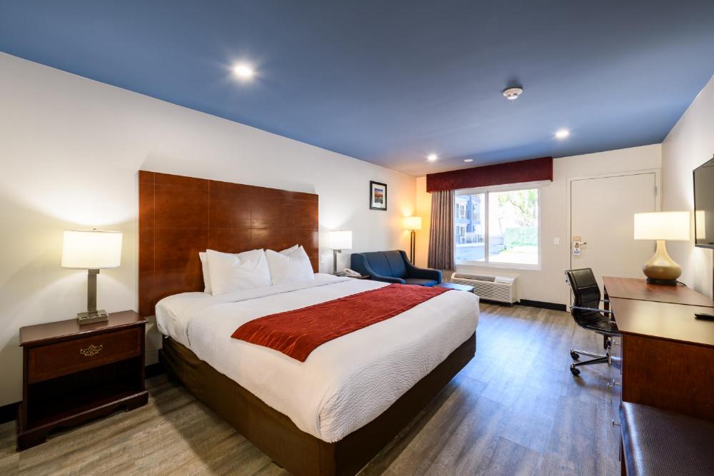 King Room - Disability Access interior